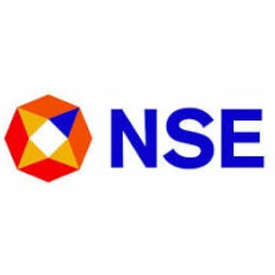 NSE Logo